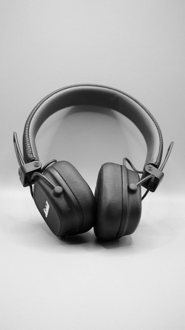 Volt Monitor Pro Headphones