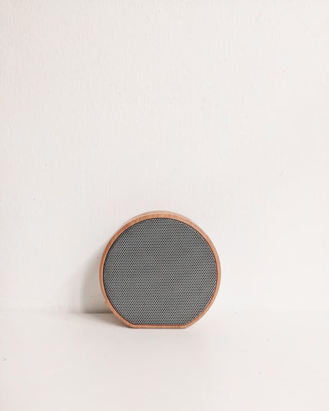 Volt Timber Speaker